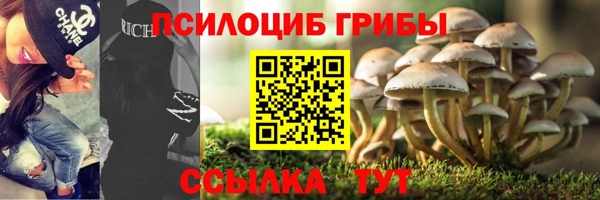 Углич  Псилоцибиновые грибы Psilocybe  Вход с VPN  Галлюциногенные грибы Magic Shrooms 
